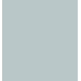 5" x 7" Semi-Gloss Silver ChromaLuxe Aluminum Photo Panel