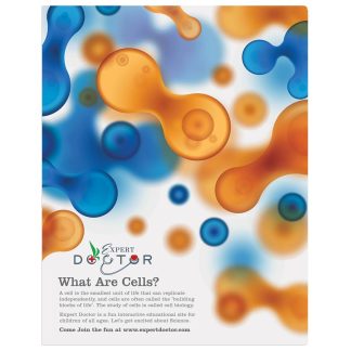 11" x 14" Gloss White ChromaLuxe Aluminum Photo Panel