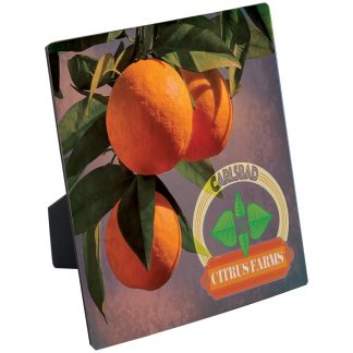 6" x 6" ChromaLuxe Flat Top Photo Panel with Easel