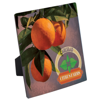 6" x 6" ChromaLuxe Flat Top Photo Panel with Easel