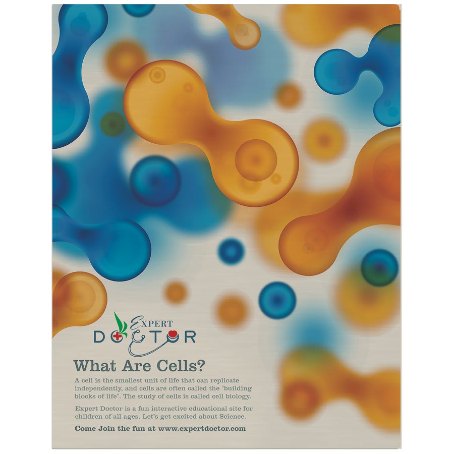 11" x 14" Gloss Silver ChromaLuxe Aluminum Photo Panel
