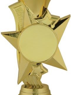 5 3/4" Star Riser with 2" Insert Holder