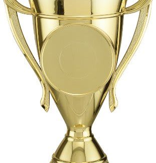 6 1/2" Gold Plastic Cup with 2" Insert Holder