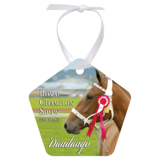 2.75"x 2.75 Gloss White Aluminum Pentagon Ornament, 1-Side w/White Ribbon