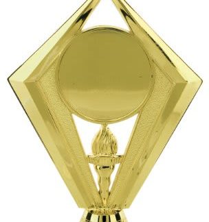 5 1/2" Torch Trophy with Custom 2" Photo Insert