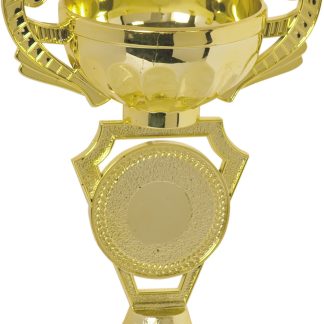 6" Cup (PH83) Trophy with Custom 2" Photo Insert