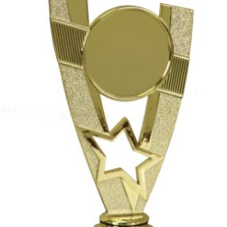 6" V-Star Trophy with Custom 2" Photo Insert